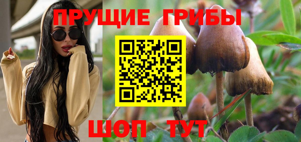 Галлюциногенные грибы MAGIC MUSHROOMS  Вход с VPN  где купить наркоту  Псилоцибиновые грибы Magic Shrooms  Орехово-Зуево 